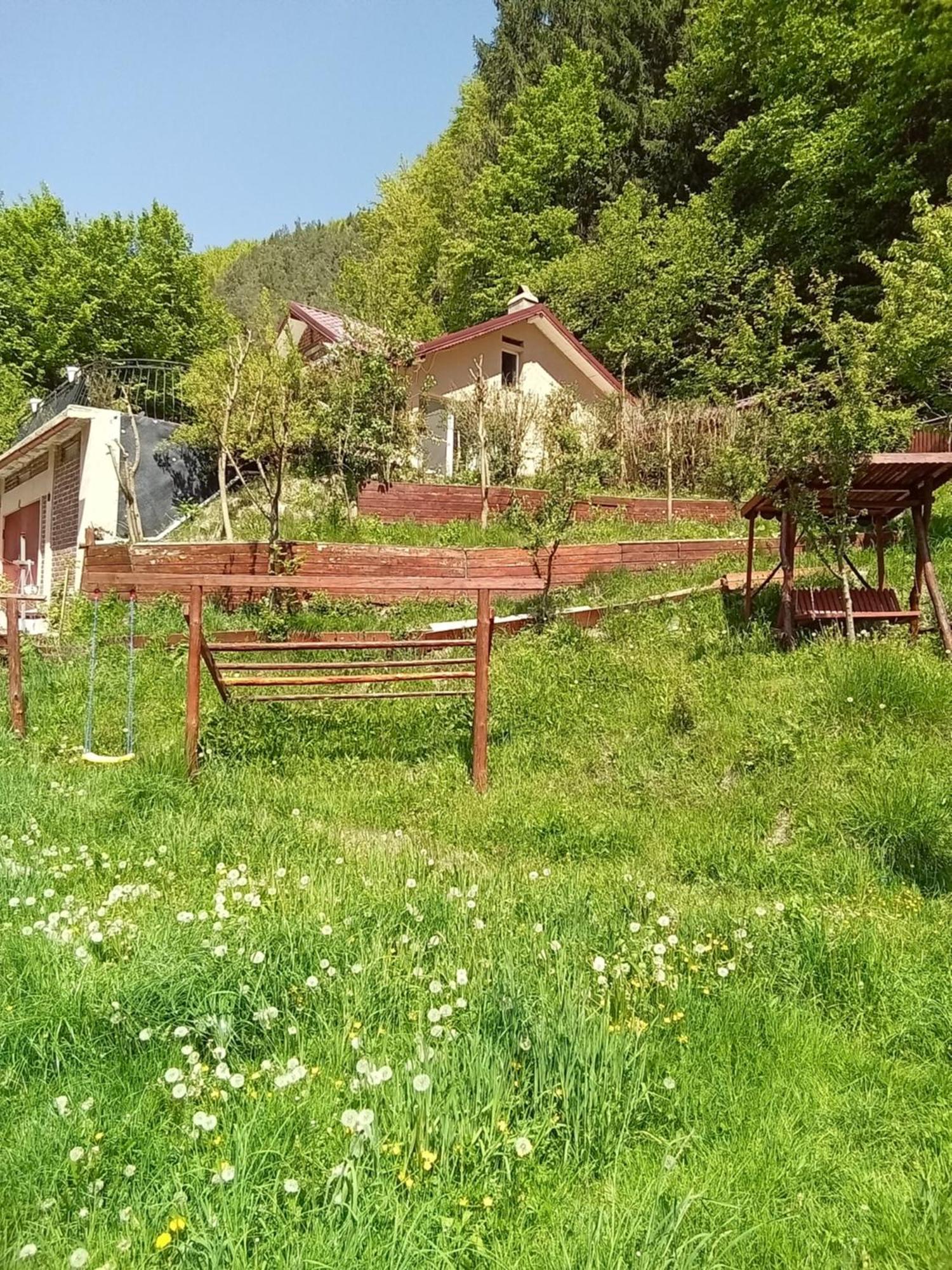 Hotel Casa Ozon à Vulcan  Extérieur photo