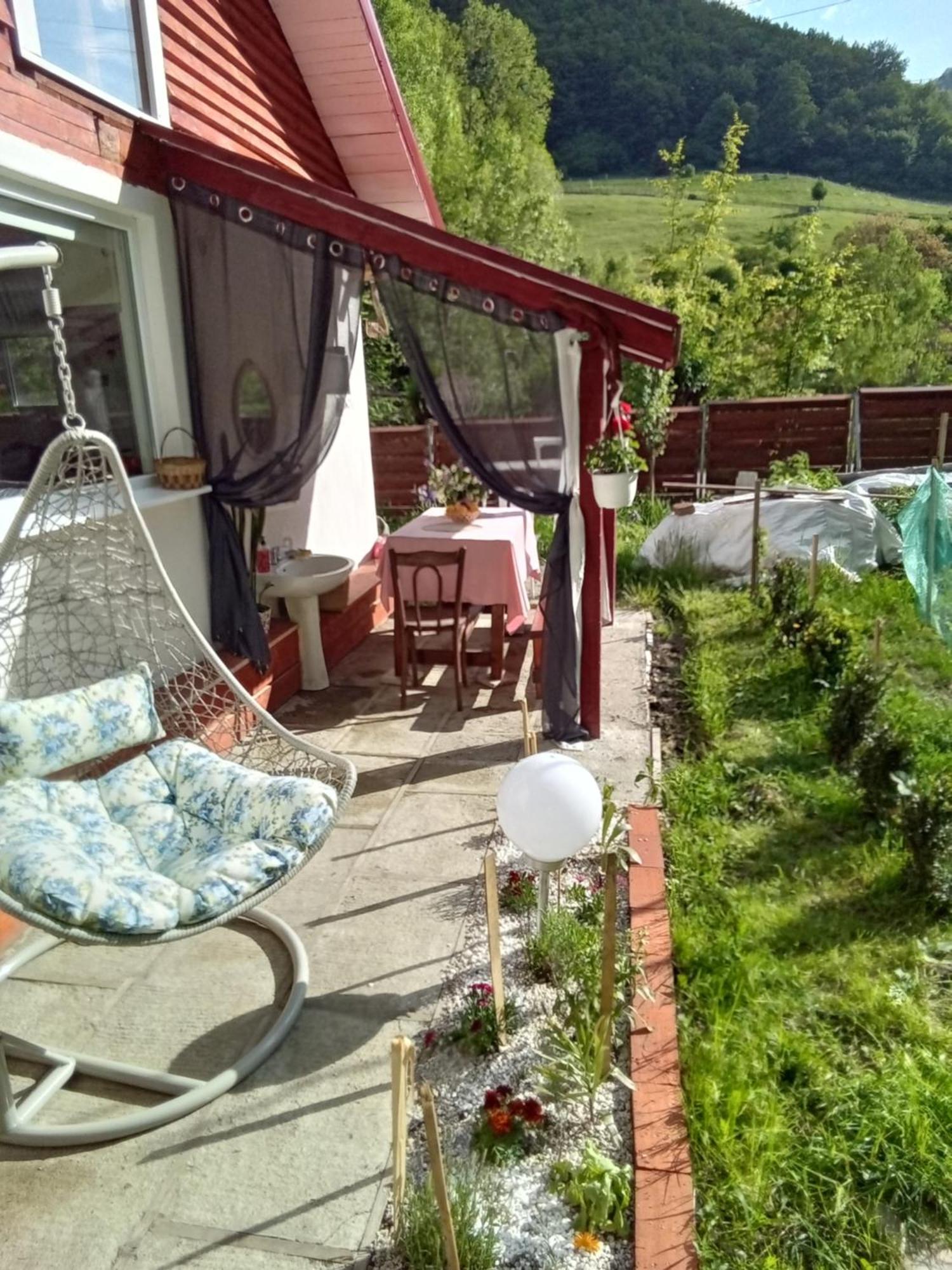 Hotel Casa Ozon à Vulcan  Extérieur photo