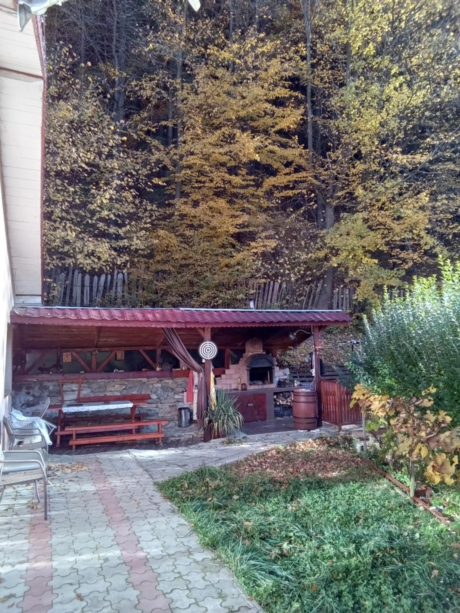 Hotel Casa Ozon à Vulcan  Extérieur photo
